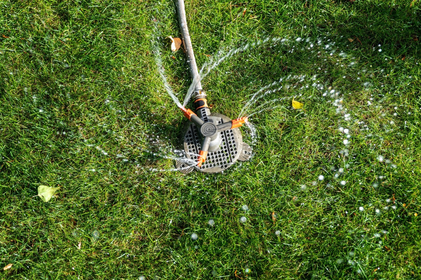 In a Lakeland oasis, a garden sprinkler twirls, spraying water in circular patterns over the lush, green lawn. Sunlit grass is dotted with fallen leaves, and the sprinkler's orange connectors stand out against its metal frame, offering a touch of efficient and fast lawn care.