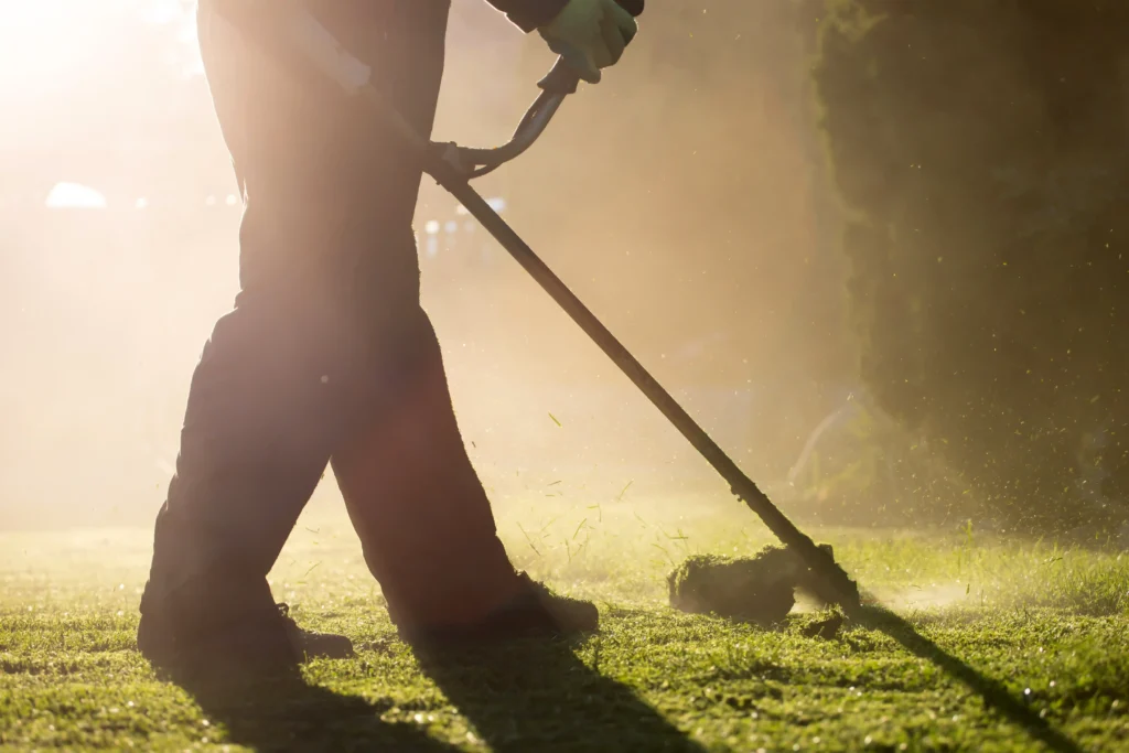 In the sunlit garden of Auburndale, a silhouetted person swiftly performs fast lawn care, skillfully trimming grass with a string trimmer. Dust and grass clippings dance in the air, while a tree faintly stands in the background on the right.