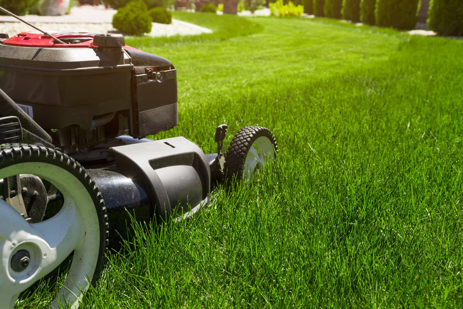 Close-up of a lawn mower cutting a lush, green lawn on a sunny day in an Auburndale backyard. The mower is on the left side of the image, with its wheels and part of the body visible. In the background, well-maintained trees and shrubs complete this serene setting.