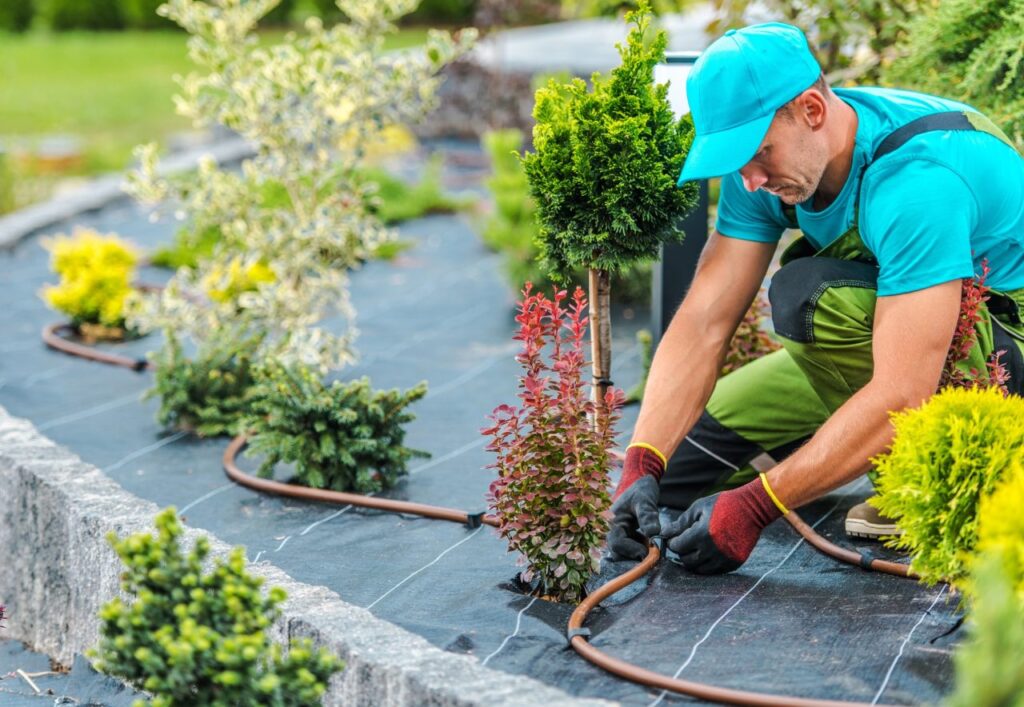 A gardener in a teal cap and shirt, wearing red gloves, kneels on a landscaped garden bed in Winter Haven. He's adjusting a drip irrigation hose around small bushes and various green plants, ensuring the area remains lush. The bed is protected by a black weed barrier fabric for fast lawn care.