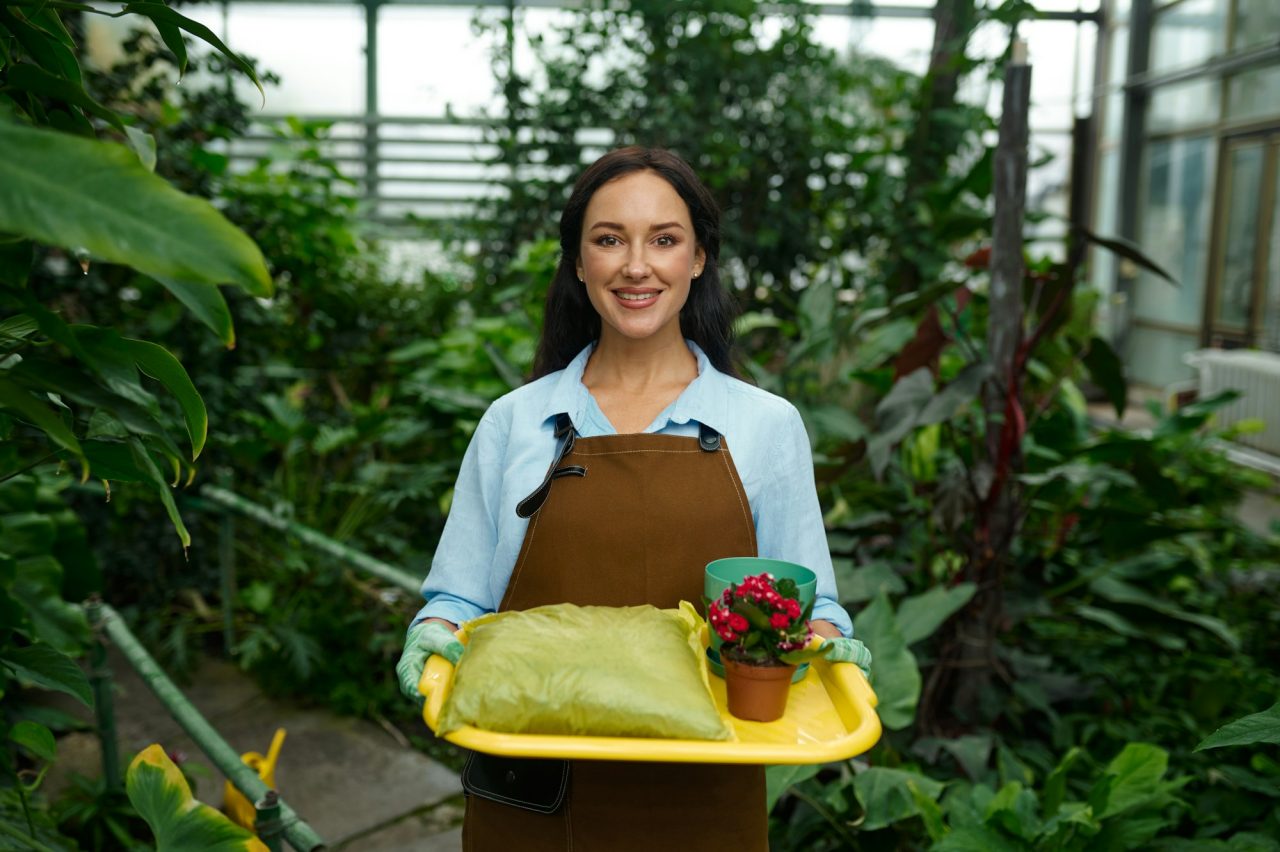 In Winter Haven, a woman stands in a greenhouse holding a yellow tray with a small potted plant, a cup, and gardening soil. Dressed in a blue shirt, brown apron, and gloves, she is surrounded by the lush greenery that thrives under her attentive care.